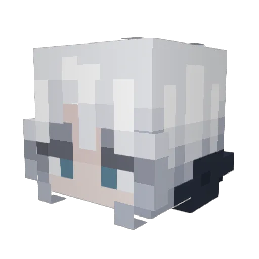 Swallow77 Minecraft avatar head, 3D render