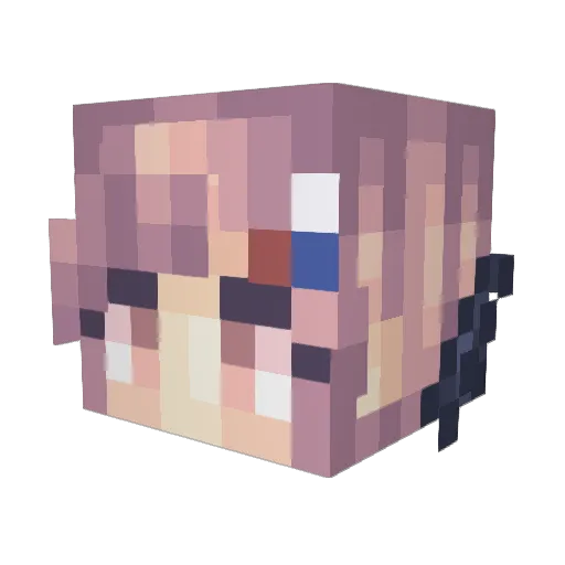 Swallowo Minecraft avatar head, 3D render