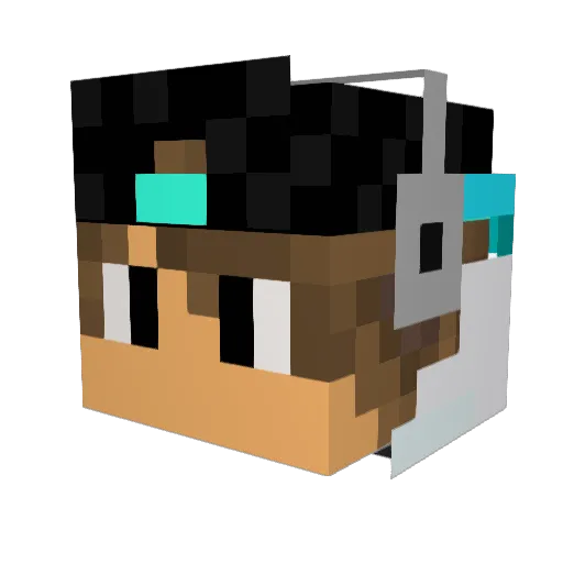 Swalm_Dog Minecraft avatar head, 3D render