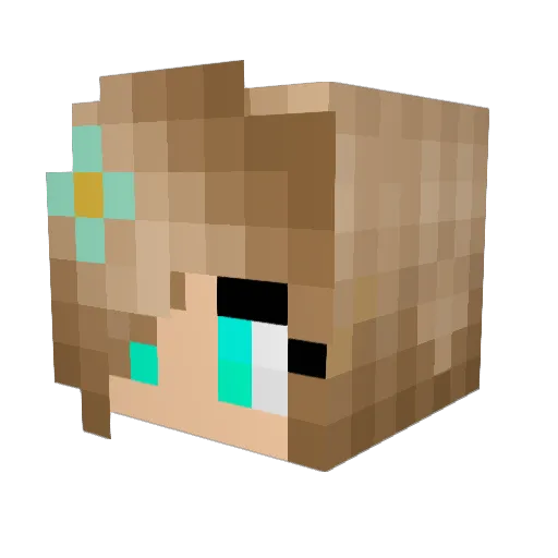 SwamiSethu Minecraft avatar head, 3D render