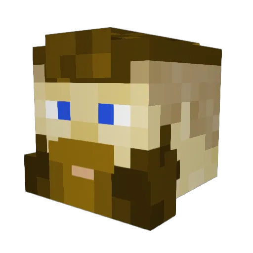 SwampLord999 Minecraft avatar head, 3D render
