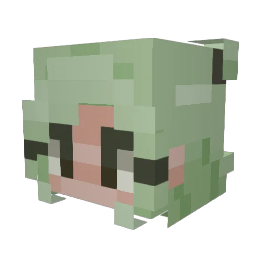 SwampPrincess0 Minecraft avatar head, 3D render