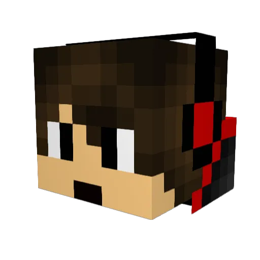 Swamp_games Minecraft avatar head, 3D render