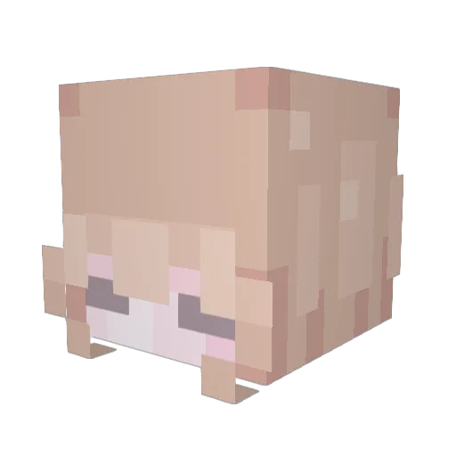 SwampenMan Minecraft avatar head, 3D render
