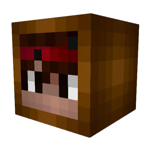 SwampieGamez Minecraft avatar head, 3D render