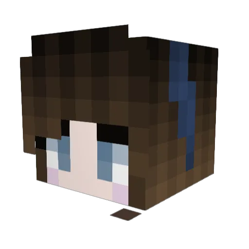 Swampy009 Minecraft avatar head, 3D render