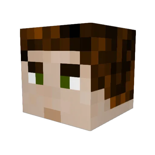 SwampyFox Minecraft avatar head, 3D render