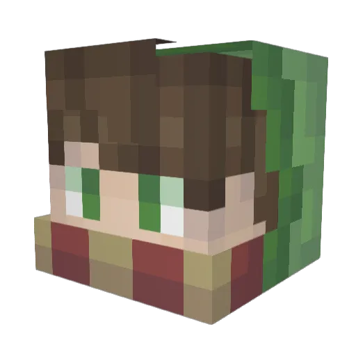 SwampyG Minecraft avatar head, 3D render