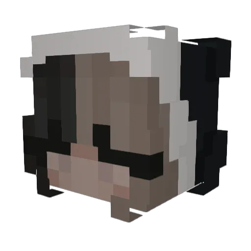 SwanSencen_k Minecraft avatar head, 3D render