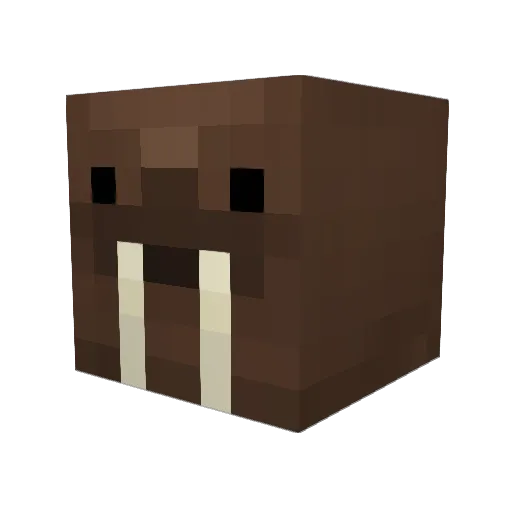 SwanSoup Minecraft avatar head, 3D render