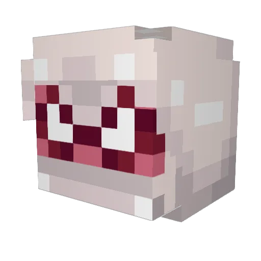 SwanSwanSwan Minecraft avatar head, 3D render