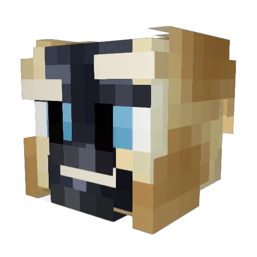 Swandos Minecraft avatar head, 3D render