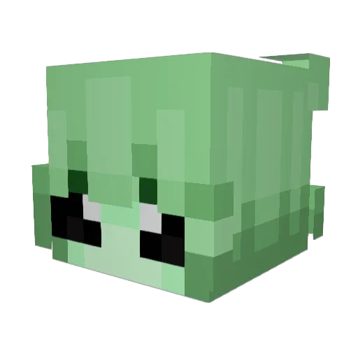 Swanei Minecraft avatar head, 3D render