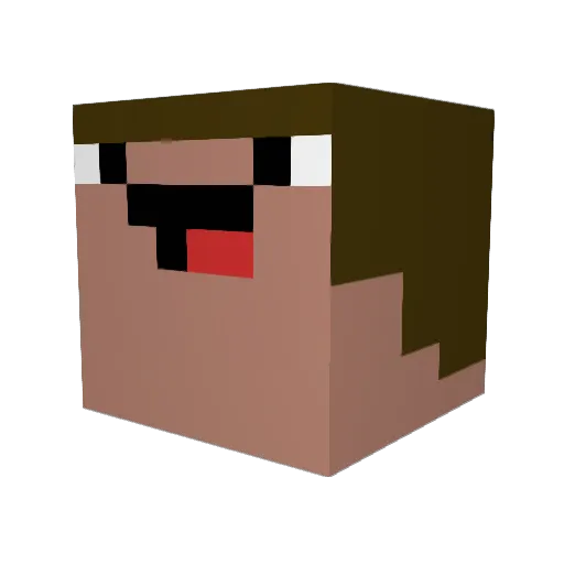 Swanglemminggok Minecraft avatar head, 3D render