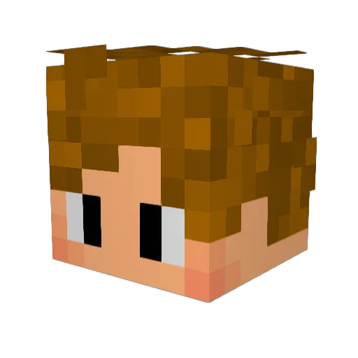Swanlag Minecraft avatar head, 3D render