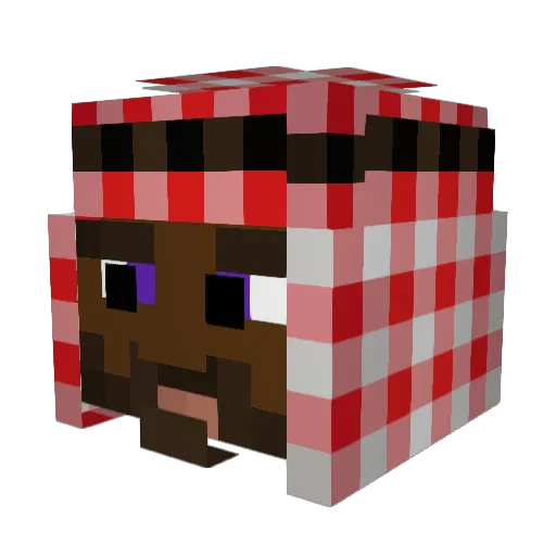 Swanson07 Minecraft avatar head, 3D render