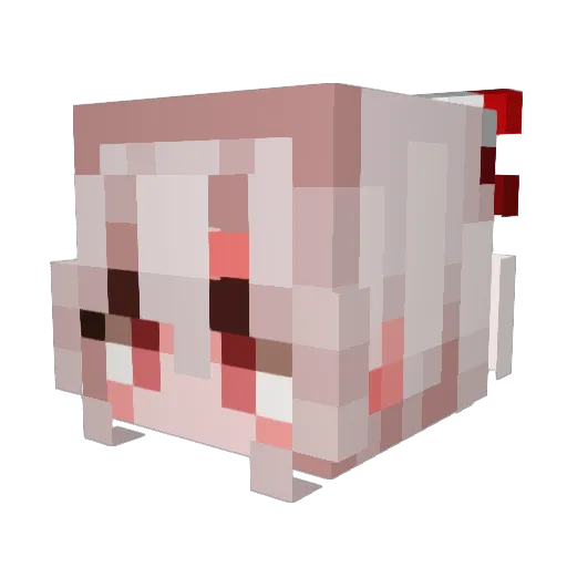 Swaptk Minecraft avatar head, 3D render
