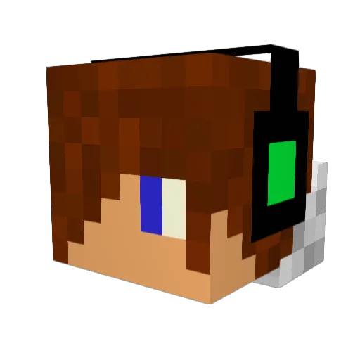 Swarki Minecraft avatar head, 3D render