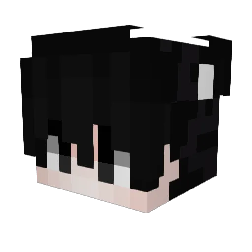 Swarplyy Minecraft avatar head, 3D render