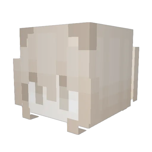 Swaruh Minecraft avatar head, 3D render