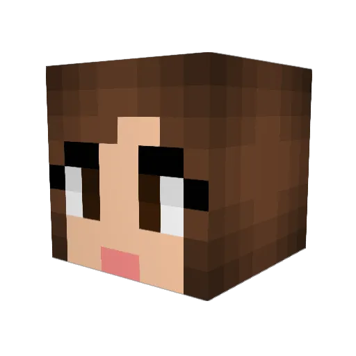 Swassaree Minecraft avatar head, 3D render