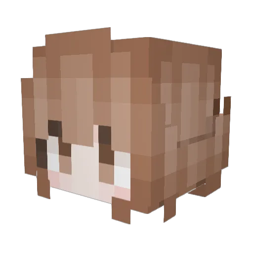 Swat_Zeer Minecraft avatar head, 3D render