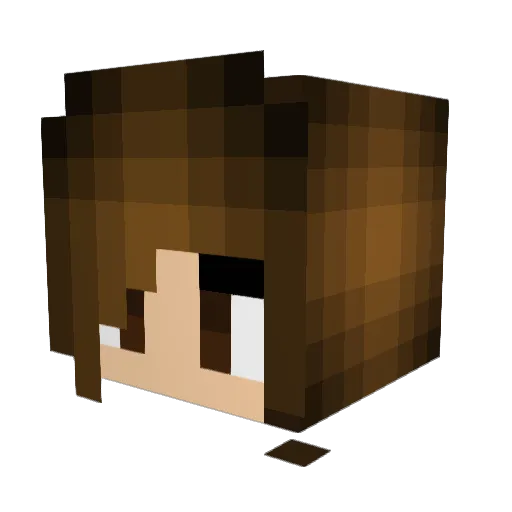 Swatcatz Minecraft avatar head, 3D render