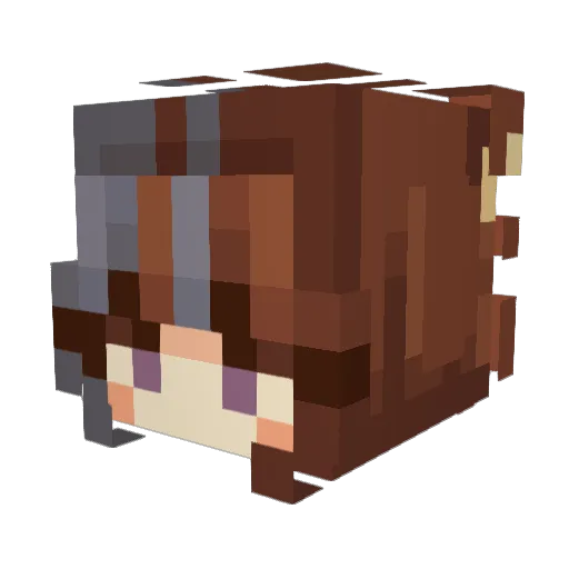 Swaxim Minecraft avatar head, 3D render