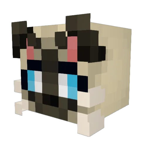 SwaySoup Minecraft avatar head, 3D render