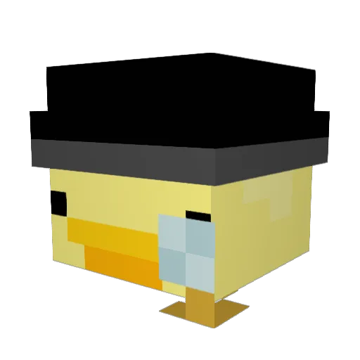 SwayWhy Minecraft avatar head, 3D render