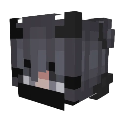 SwayZ_06 Minecraft avatar head, 3D render