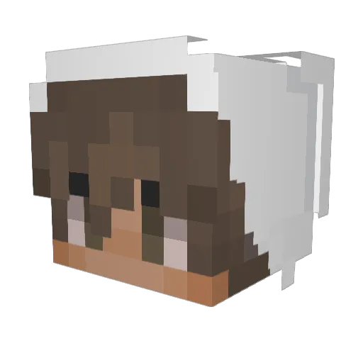 SwayzeZ Minecraft avatar head, 3D render
