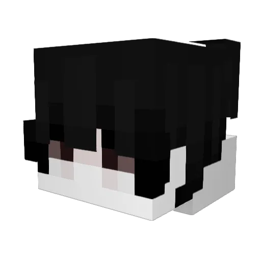 Swe1xy Minecraft avatar head, 3D render