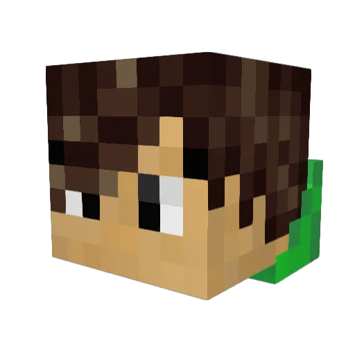 SweTheo9 Minecraft avatar head, 3D render