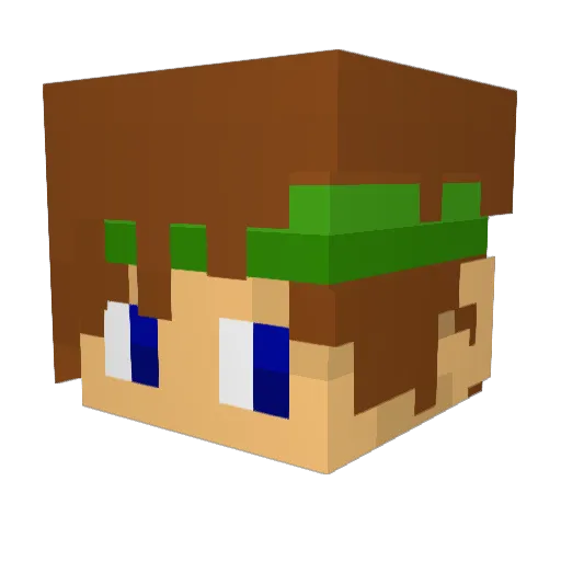 Sweagle Minecraft avatar head, 3D render