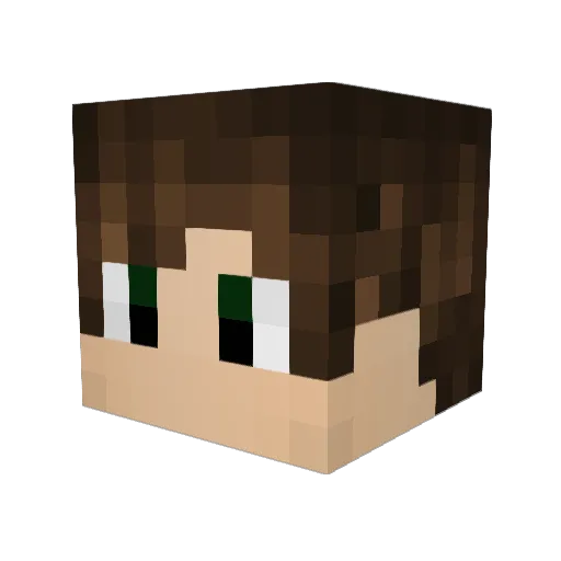 Sweaky__ Minecraft avatar head, 3D render