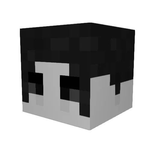 Sweasy_69 Minecraft avatar head, 3D render