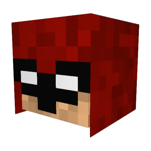 Sweat4Life420 Minecraft avatar head, 3D render