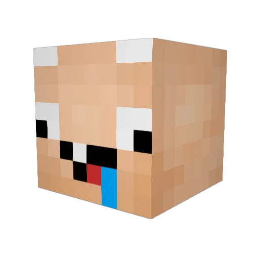 SweatKitty101 Minecraft avatar head, 3D render