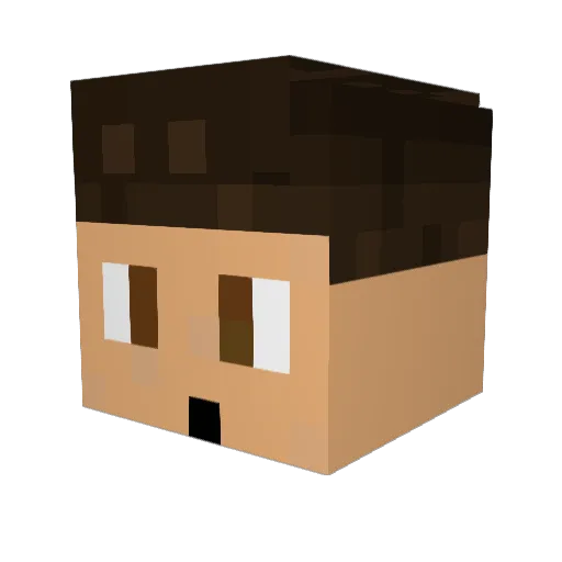 SweatLikeBirds Minecraft avatar head, 3D render