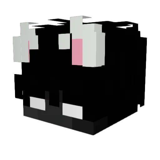 SweatyBlaze Minecraft avatar head, 3D render