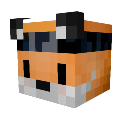 SweatyBooch Minecraft avatar head, 3D render