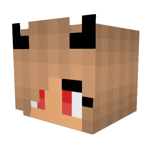 SweatyFoot Minecraft avatar head, 3D render