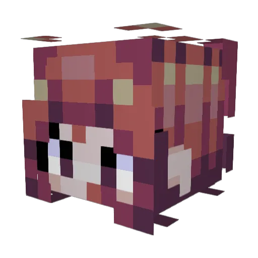 SweatyNoodle Minecraft avatar head, 3D render