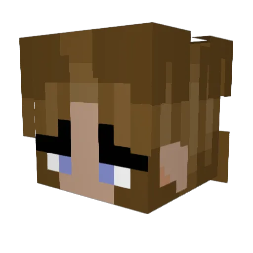 SweatyPenguin82 Minecraft avatar head, 3D render