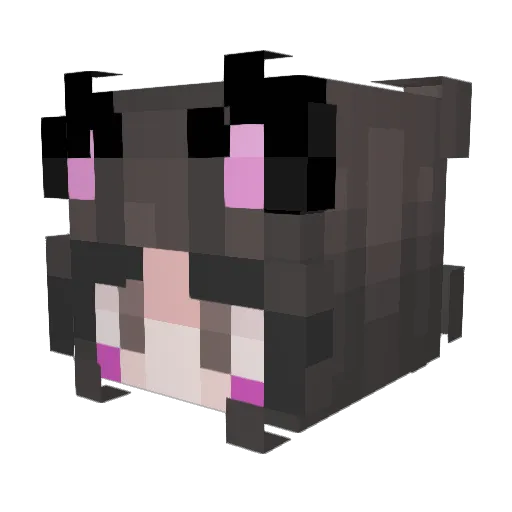 Sweatybills35 Minecraft avatar head, 3D render