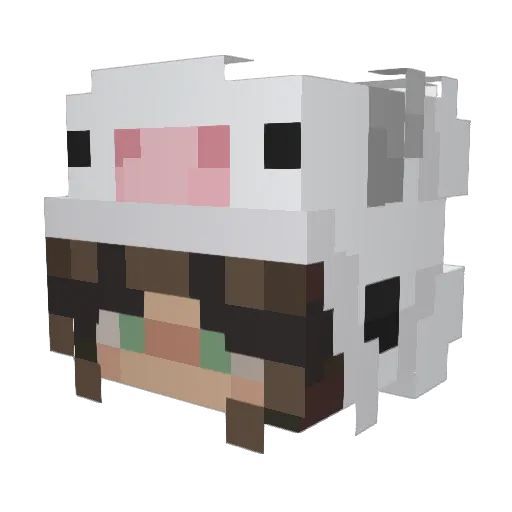 Sweatychan Minecraft avatar head, 3D render