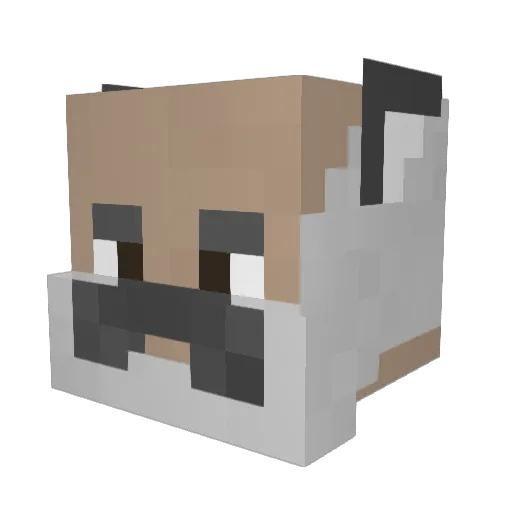 Sweatyfargas Minecraft avatar head, 3D render