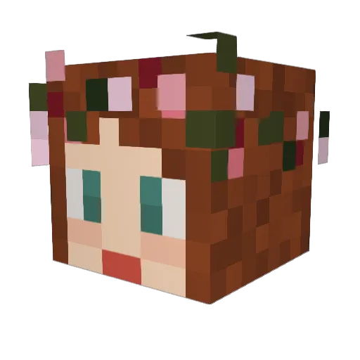Swede44 Minecraft avatar head, 3D render