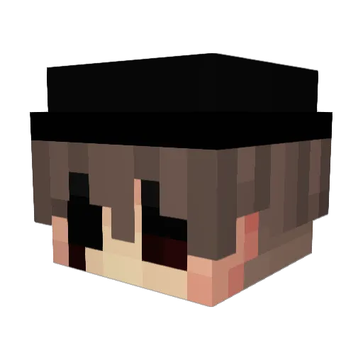 Sweelts Minecraft avatar head, 3D render